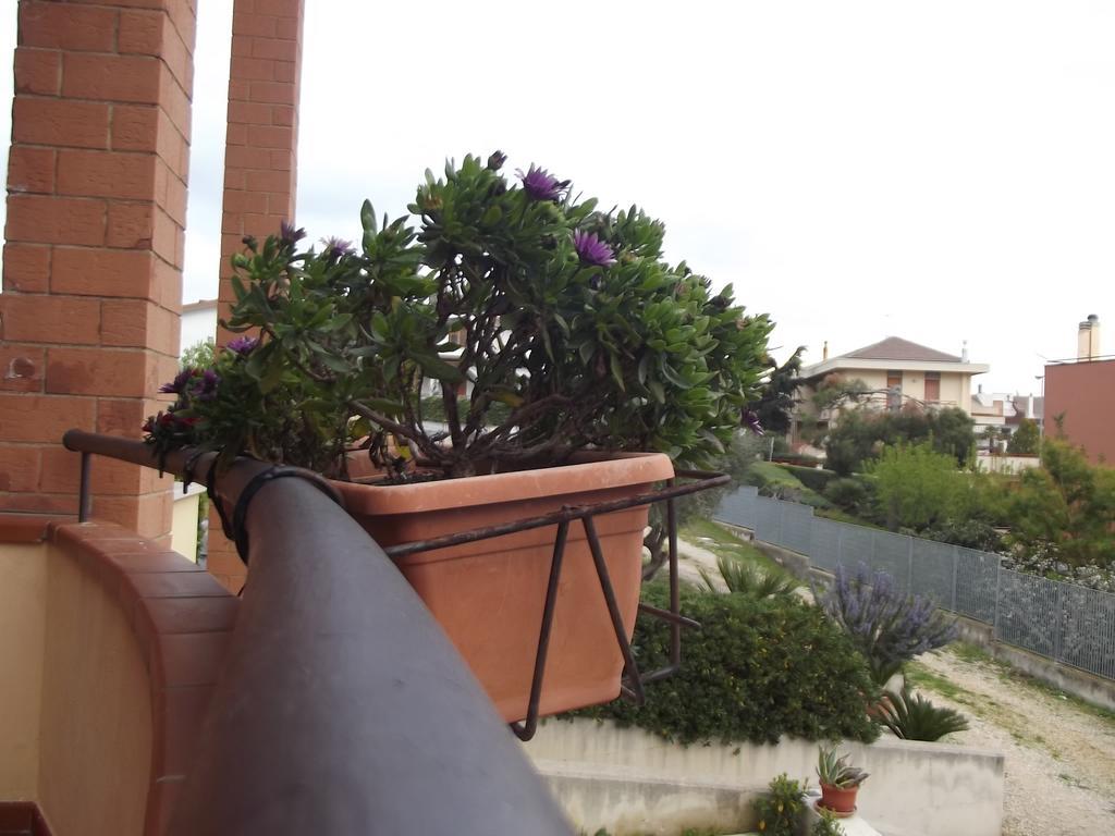 La Specchia Bed & Breakfast Matera Exterior photo